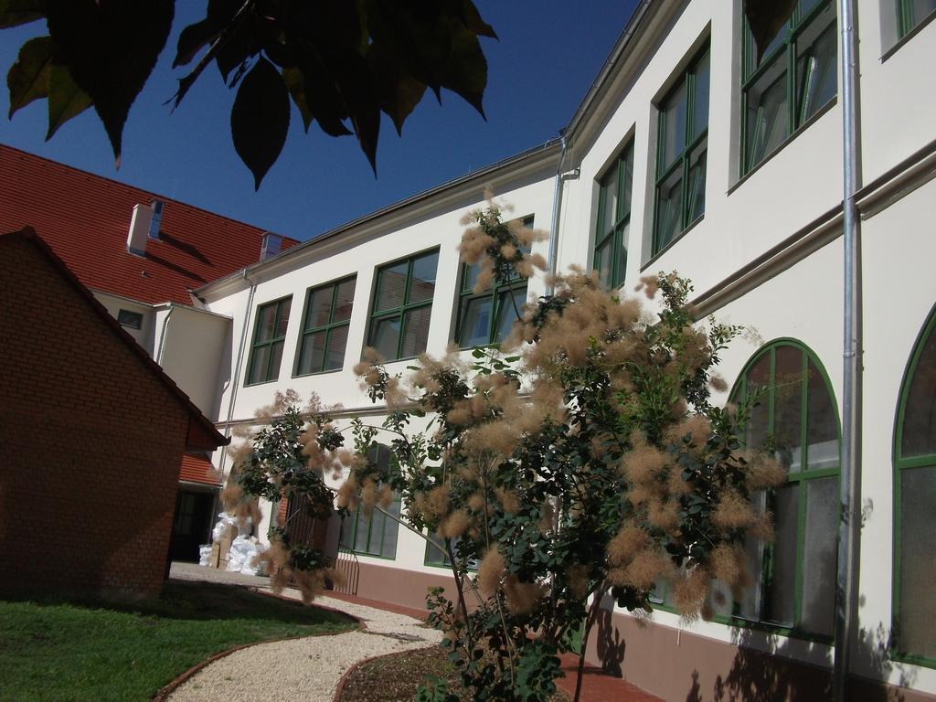 Ciszterci Haz Apartment Baja